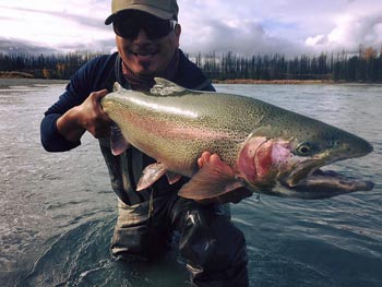 Kenai River Steelhead - Kenai Fly Fish