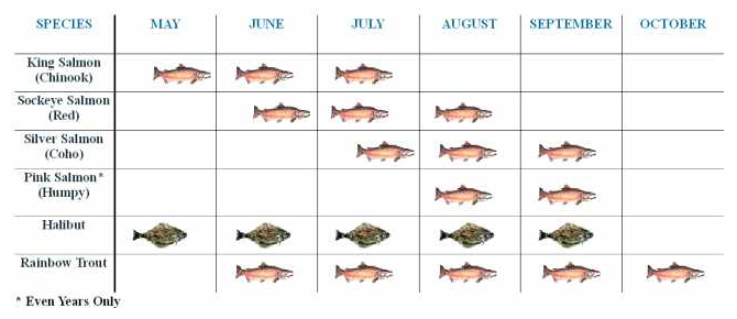 Kenai Fishing Guide Rates and Run Timing for Kenai River Alaska